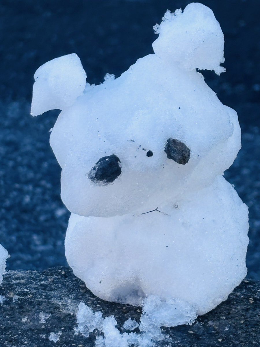 ari630_CHiCK's tweet image. レッスン終わりに雪で遊びました☃️💕

逃走中見たよ👀✨️
夢であいらハンターに追われそうです♡*｡ﾟ
夢の中で精一杯逃げてきます❤️‍🔥💭
#CHiCKちゃん #新堂杏莉 #枝波あいら