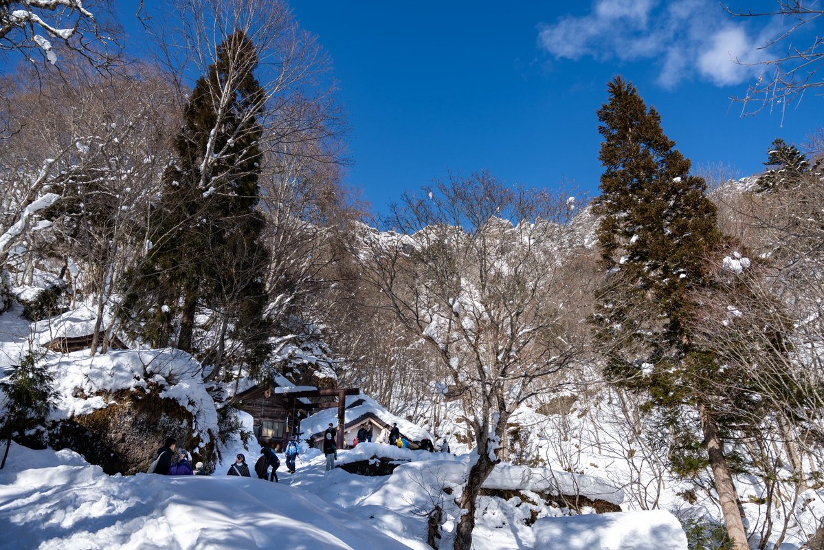 workinghormon's tweet image. 風もなくおひさま燦々ではっぴ〜꒰๑•௰•`๑꒱