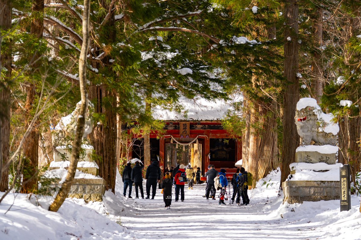 workinghormon's tweet image. 風もなくおひさま燦々ではっぴ〜꒰๑•௰•`๑꒱