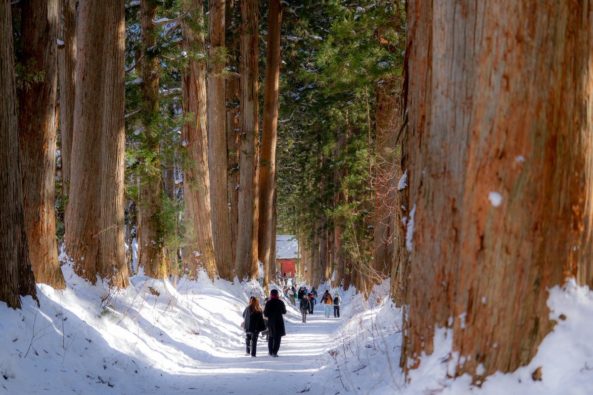 workinghormon's tweet image. 風もなくおひさま燦々ではっぴ〜꒰๑•௰•`๑꒱