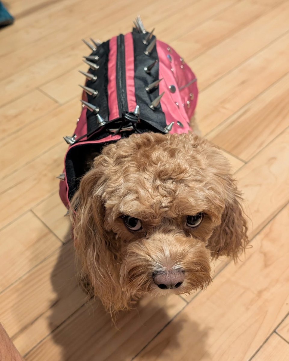 Jordan Handrich aka Illiterati tweet media