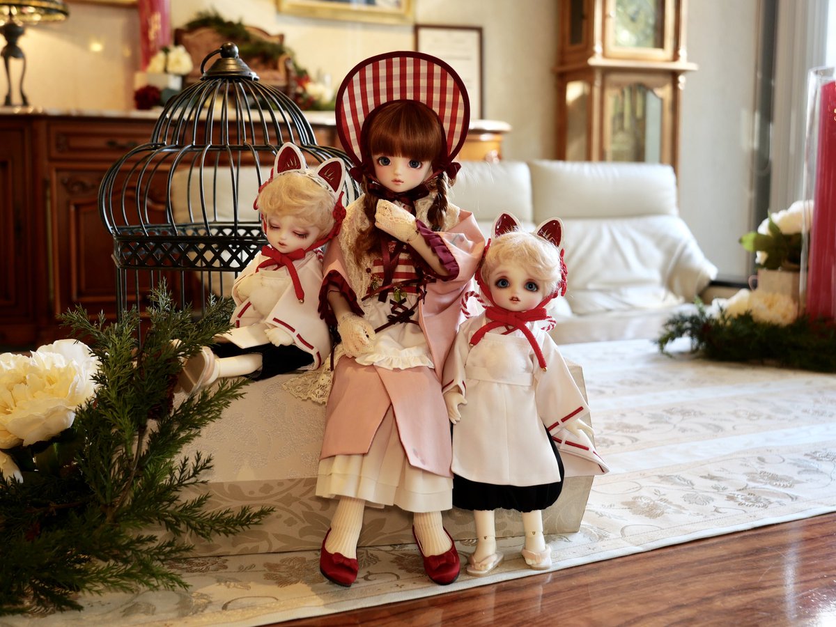 我が家の鳥ちゃんズ🐦🐦
シリウスとスピカもお里で新年を祝いました。ココットも一緒😊
#幼sd青い鳥 #sdm_f_73 #天使の里