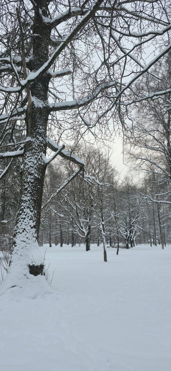 Let it snow, let it snow, let it snoooow