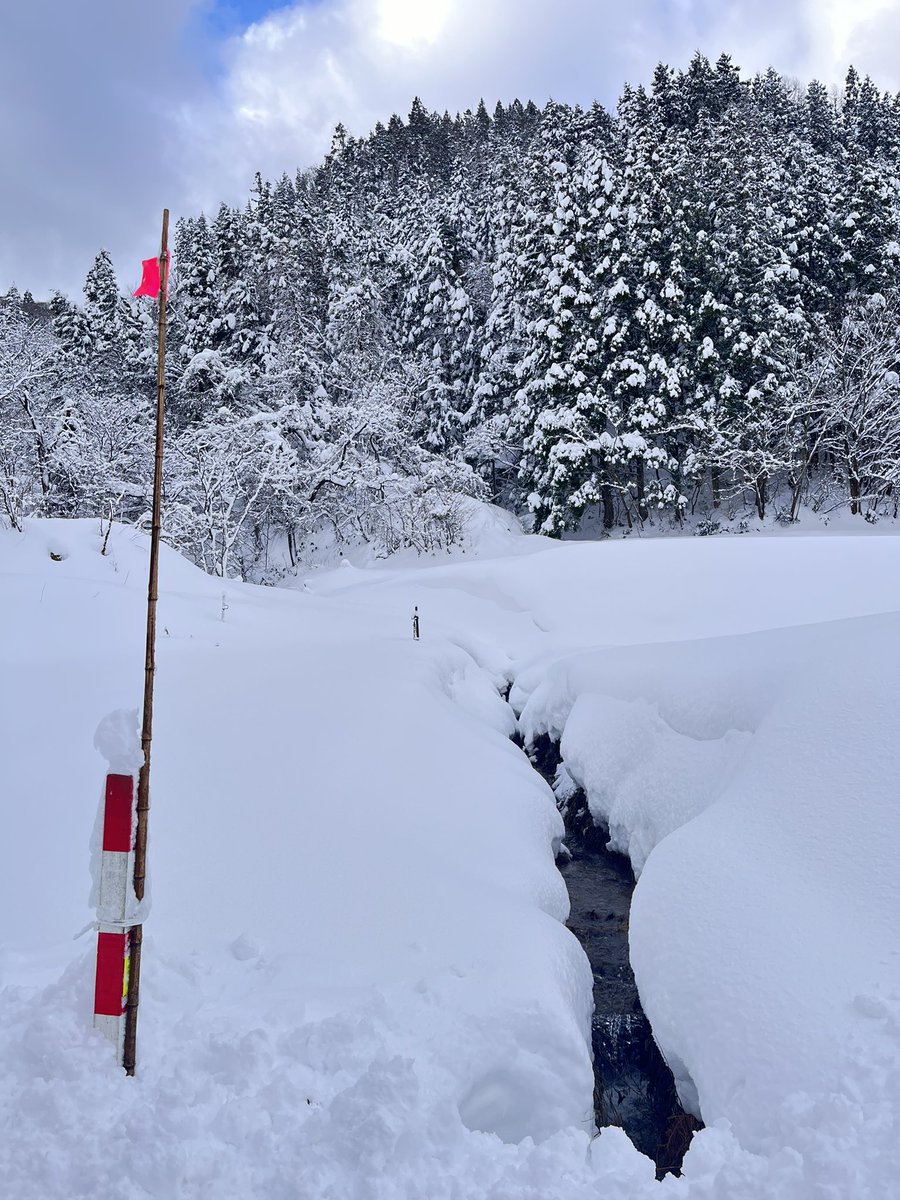 woodbirdstore's tweet photo. 50も過ぎると、これまでの自分の生き方が、自分に返ってくる。のだと思う。
趣味の知識の蓄積。仕事のノウハウ。他人との接し方。人間関係。好きな事、やらなければいけない事、がむしゃらに過ごしてきた20代、30���、40代の時間が全部返って来る。良くも悪くも。。。と、感じた2025年末と2026年始。 https://t.co/aENCI8wGf6