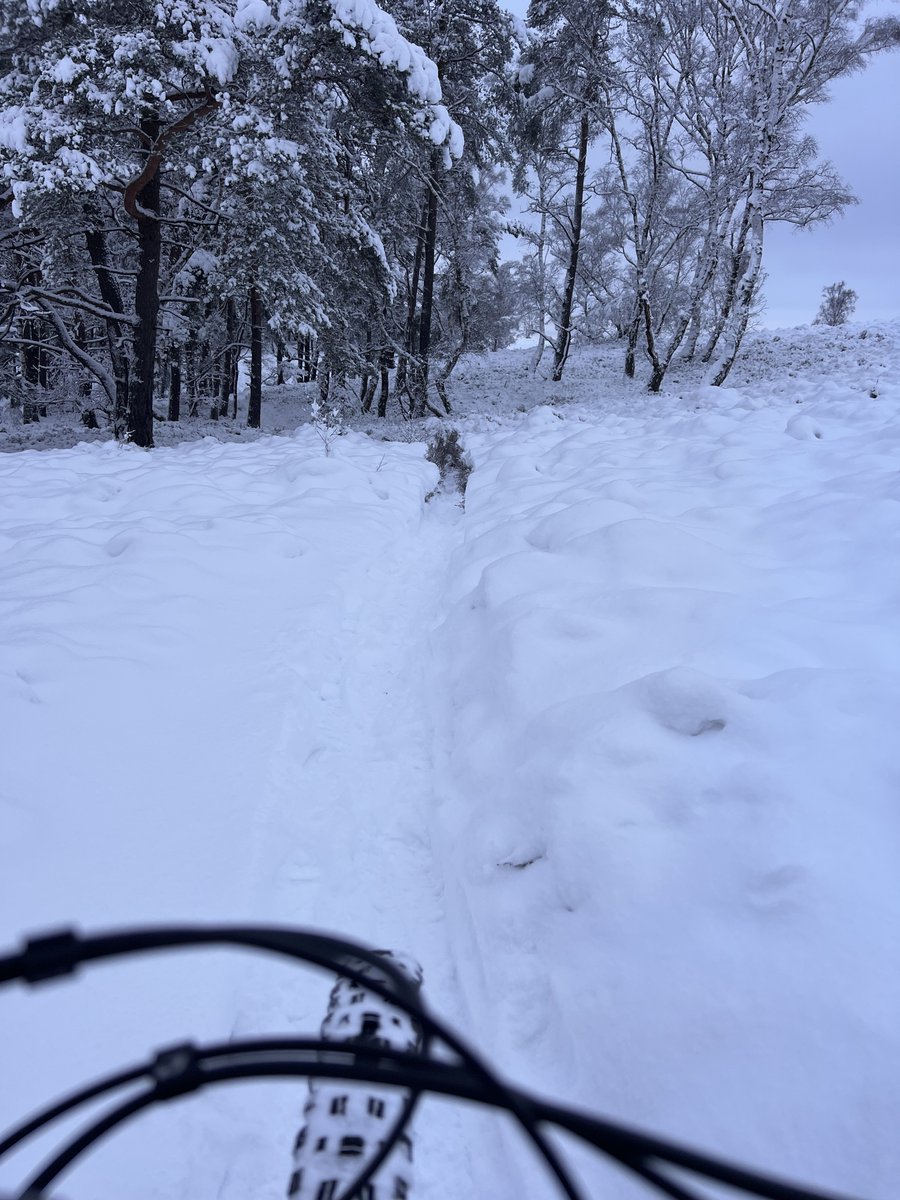 Operating at Altitude in Hamburg 🏔️
Sure, we’re only 116.2 m above sea level… but who says you need mountains to reach new heights?

Engineering epic trails, one snowy singletrack at a time.
What’s your favorite low-elevation riding spot? 👇

#Hamburg #winterriding