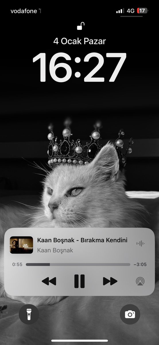 pazar günü = şu mood + temizlik