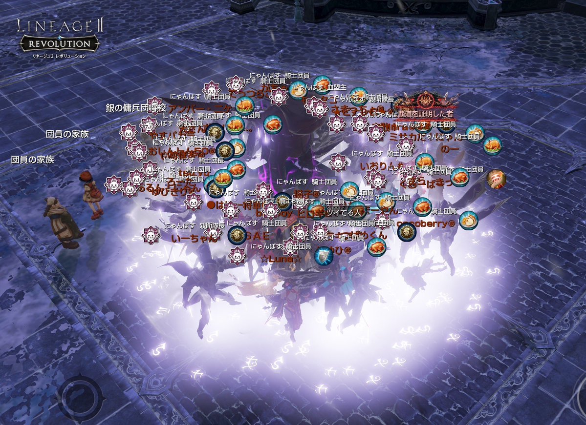 ルナページです。本人以外の後にはお辞めください。 2026年始めに 血盟としても個人的にも初のアデン城主になれた