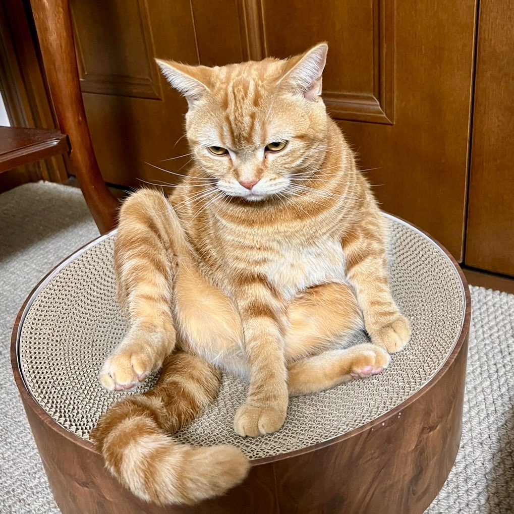 Nico ♏️ (the_swan_rhcp) (@antoniedeswan) / Posts / X