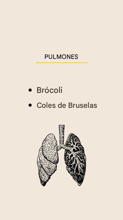 ModReflexion's tweet photo. La MEJOR comida para las DIFERENCIA partes del CUERPO.

🧵 

1. https://t.co/kqvEVZJlov