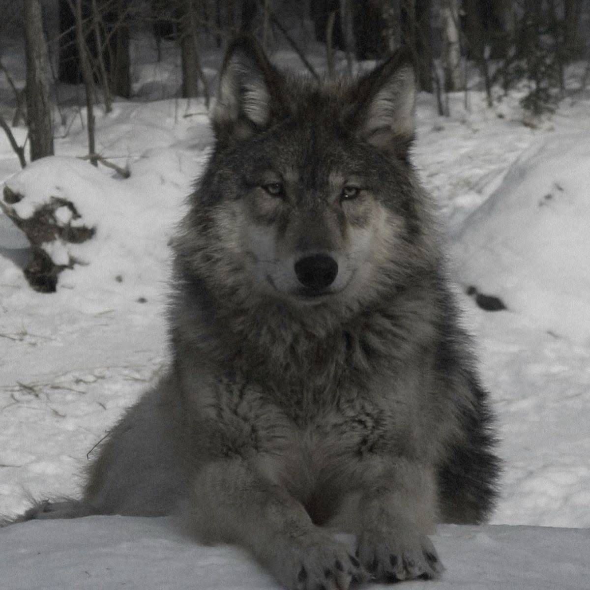 taebinfile's tweet image. do you see the vision