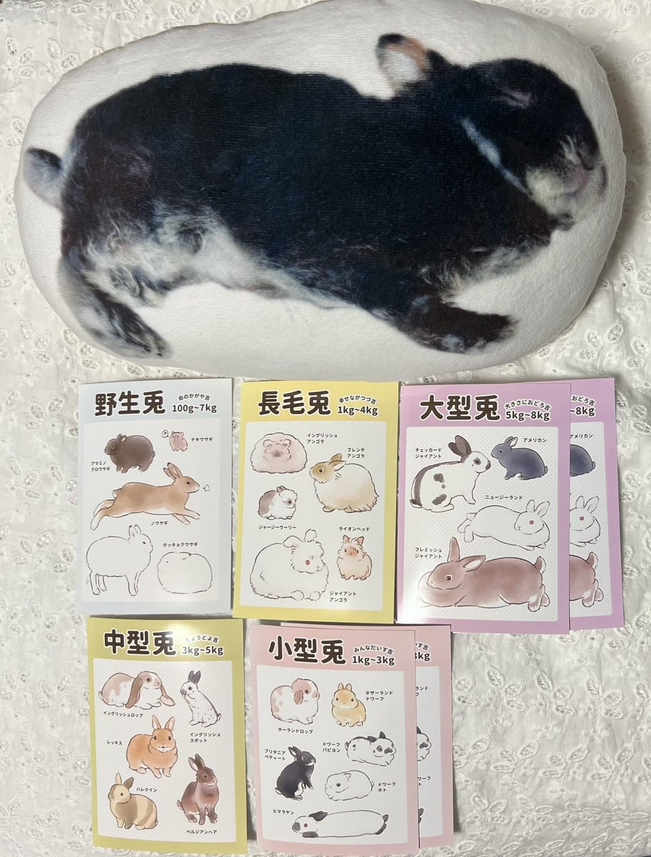 今年も全種そろいました🐇 毎年楽しみにしてます♪ #うさずかんくじ