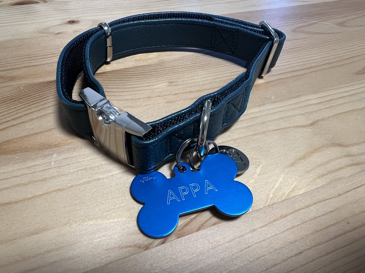 Mello 🦝💙🇦🇺 tweet media