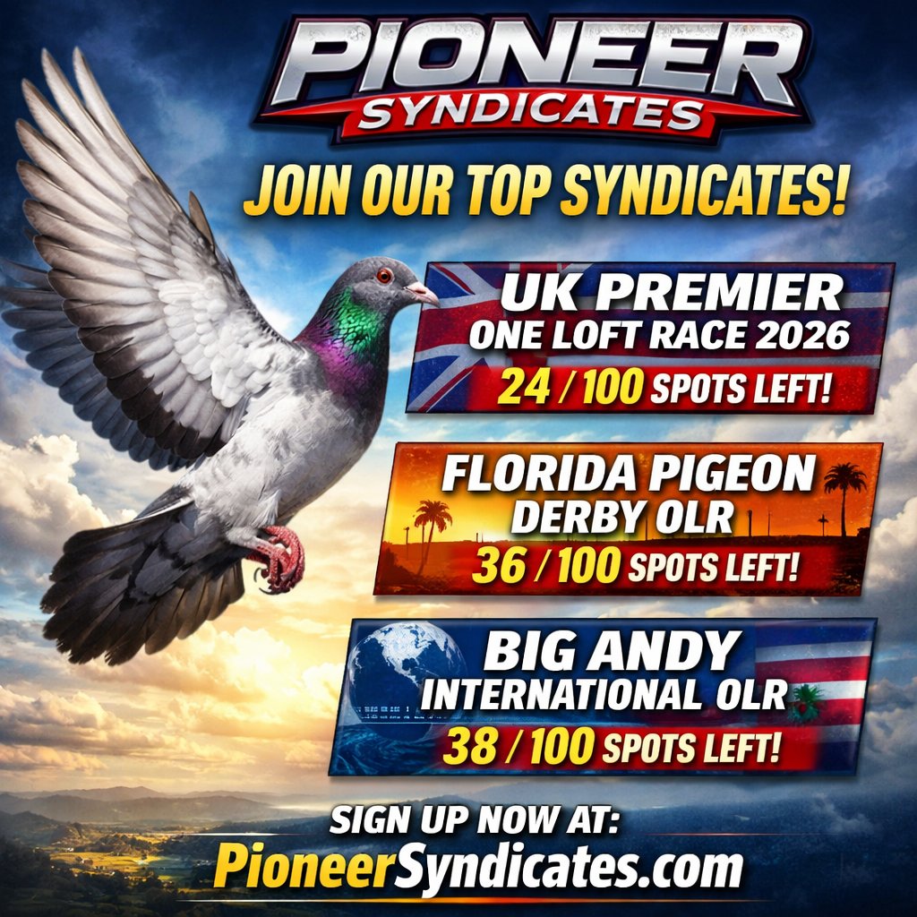 🔥 LIMITED SPOTS AVAILABLE – PIONEER SYNDICATES 🔥

The racing season ahead is shaping up to be a big one, and our current syndicates are filling fast.

If you want to be part of elite One Loft Racing, now’s the time 👇

🏁 **UK Premier One Loft Race 2026**
➡️ **24 / 100 spots