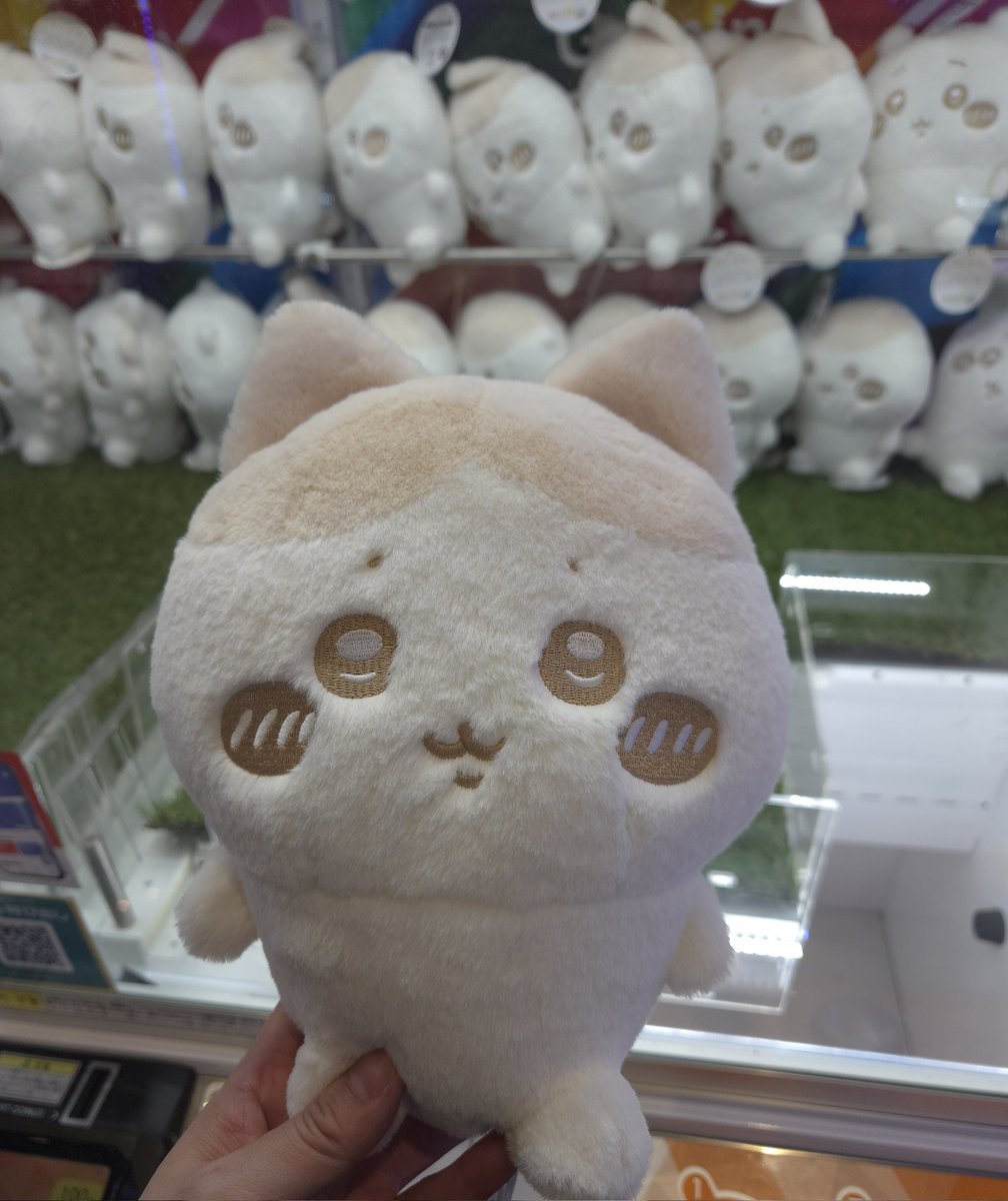 やった‼️ そう言えば、この子も100円で お迎えできたんだった