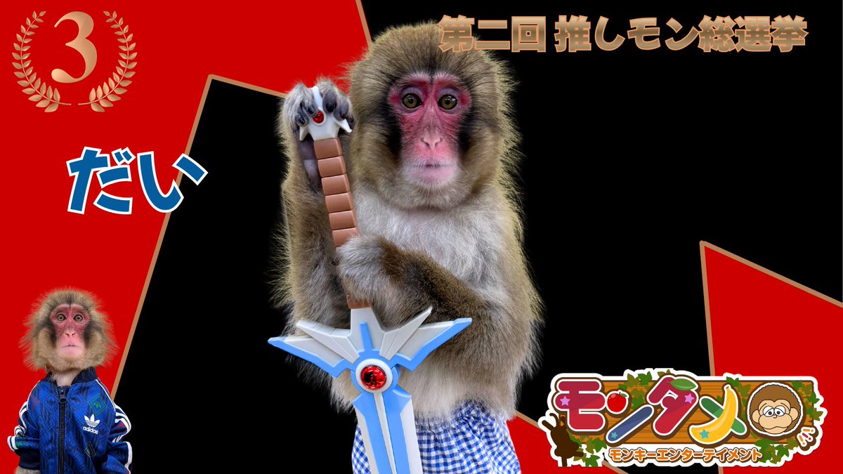 モンキーエンターテイメント　広報 tweet media