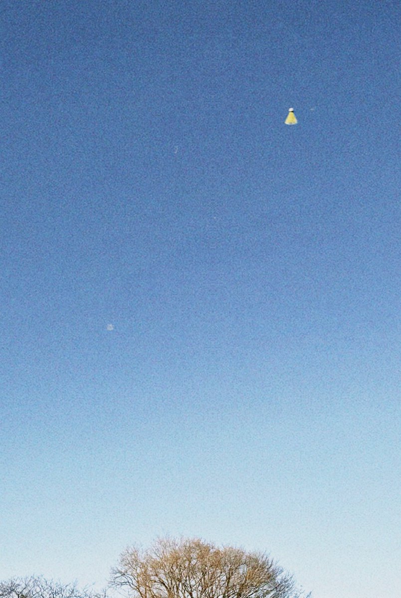 gobogobogobou11's tweet image. 宇治ピと新春コマ回しや羽子板をして遊びました　楽しかったです