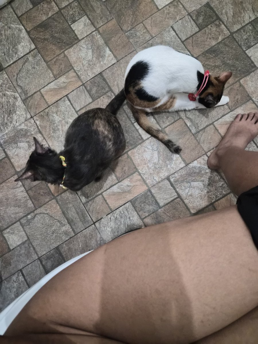 candoevrything's tweet image. ขอความเป็นส่วนตัวด้วยค่ะ