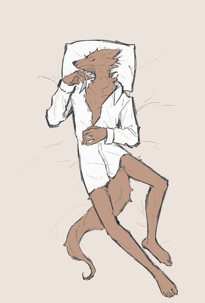 sisigui_4649's tweet image. #furry  #ケモノ  #ケモパジャマNight
🐺😴