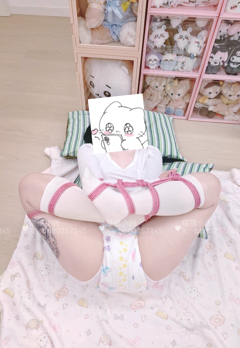 猫猫小因 tweet media