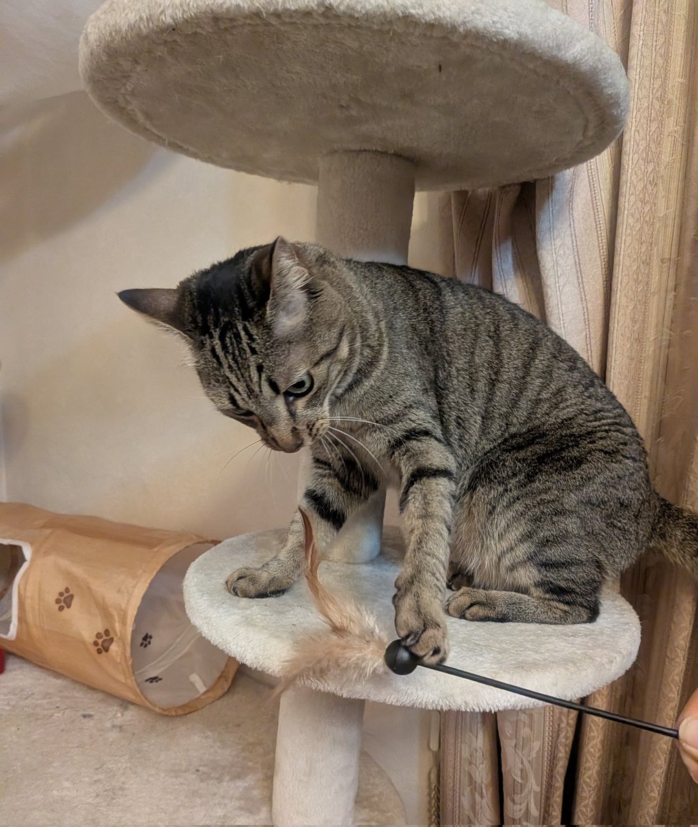 実家の猫と戯れてきたので、充電されました笑✨
そろそろエンジン入れていきたいと思います🚘️💨