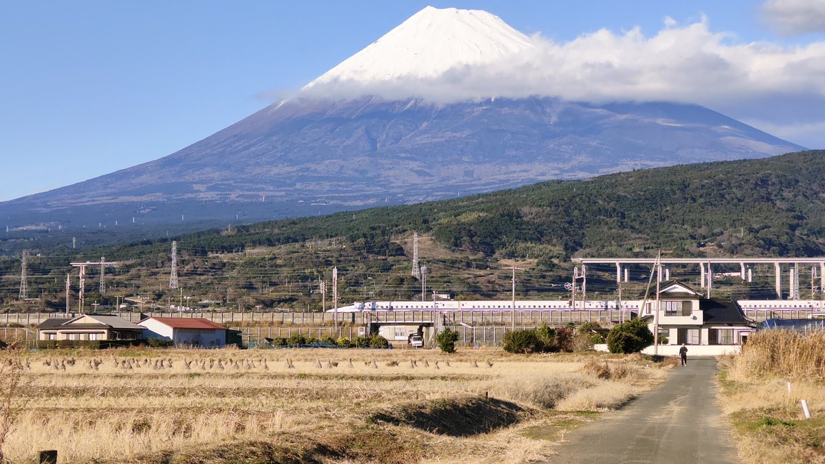 su_nori3's tweet photo. 新年は富士山と新幹線とﾇｺを愛でてきました。 https://t.co/OcyMdoYHPd