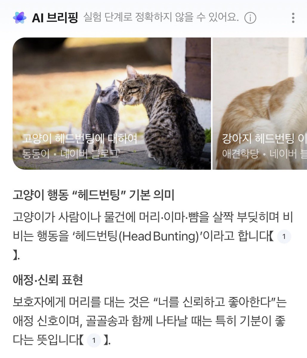 텐지 tweet media