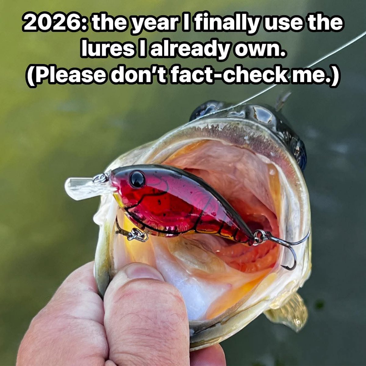 Fishreaper (@fishreaperwayne) on Twitter photo 