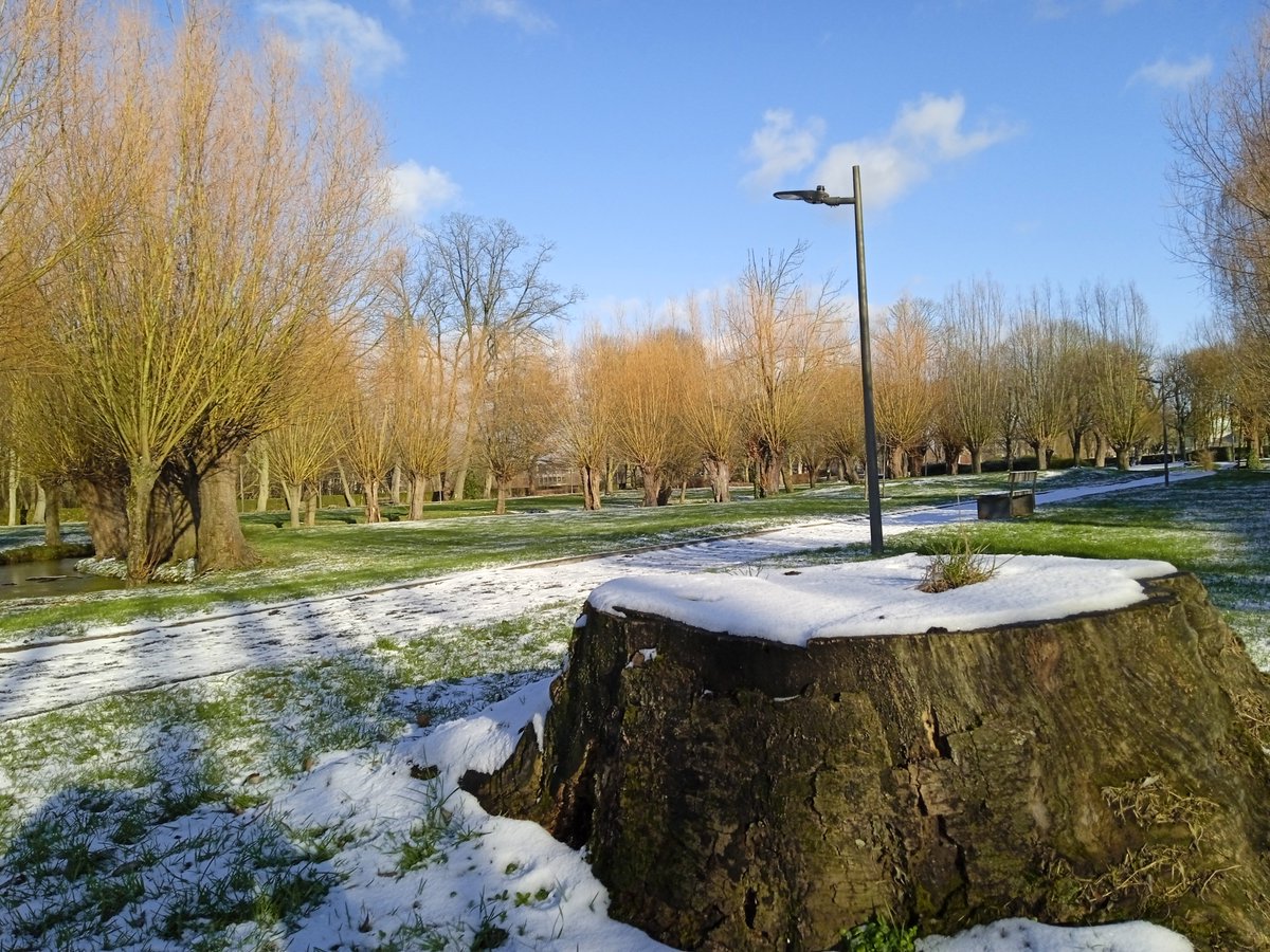 Steven Van Kerkhoven tweet media