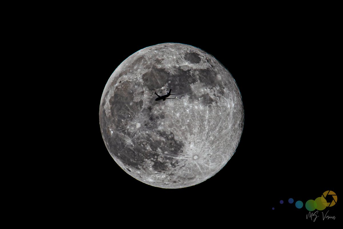 Matt Scotton tweet media