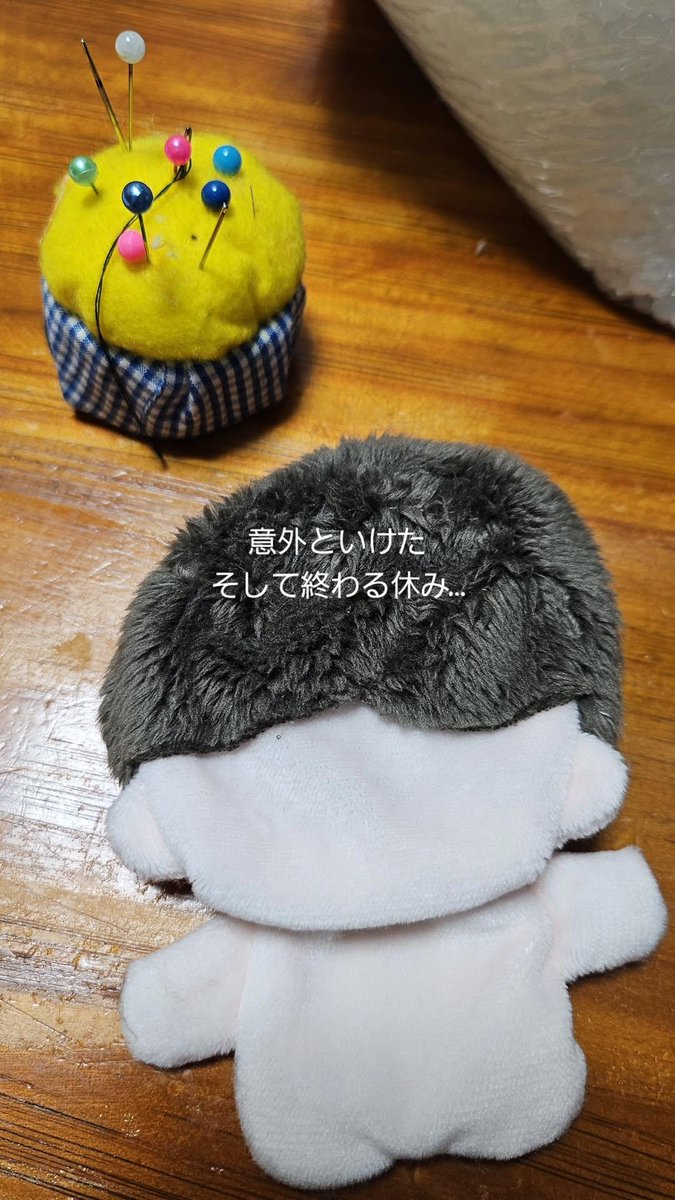 青海ぬい練習(で終わる休み)