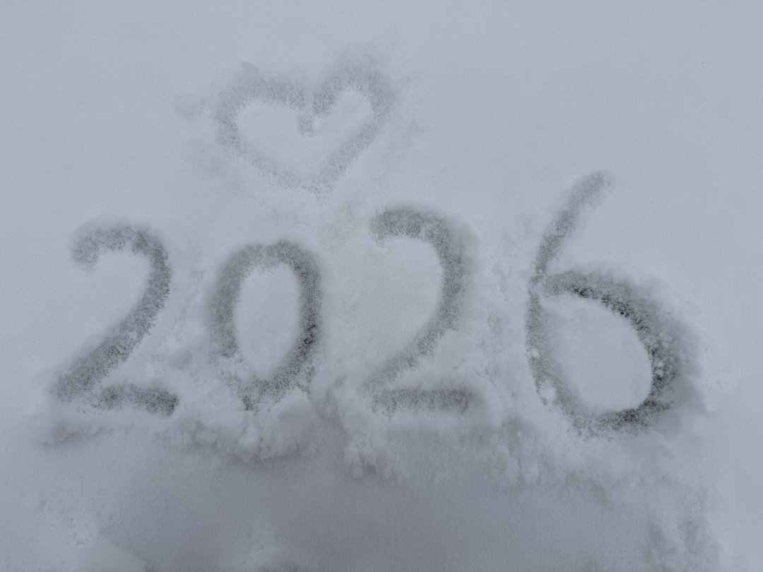 jayrdark's tweet image. Snow flower🤍