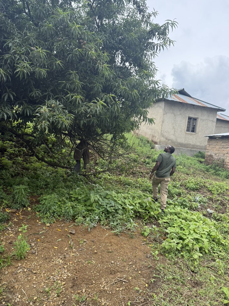 Ogopa yule mtu anayetaka kuonekana mwema nje ya familia yake jua huyo mtu ndani yake ni katiri na ni hatari mnooooo
Acha nichume mafyulisi