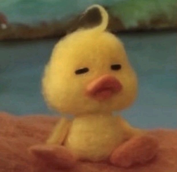 fujoconnor's tweet image. I will forever see him as this little duck