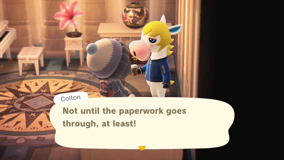 CalmingMadness's tweet image. I guess it's about to be Colton Year! 💙

#AnimalCrossing #ACNH #AnimalCrossingNewHorizons