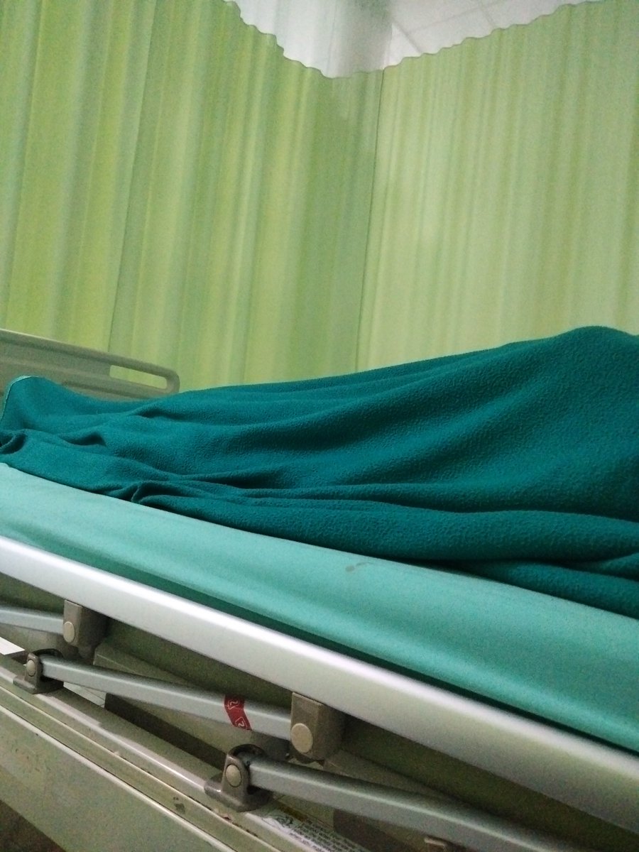 kembang gula 🍉 tweet media