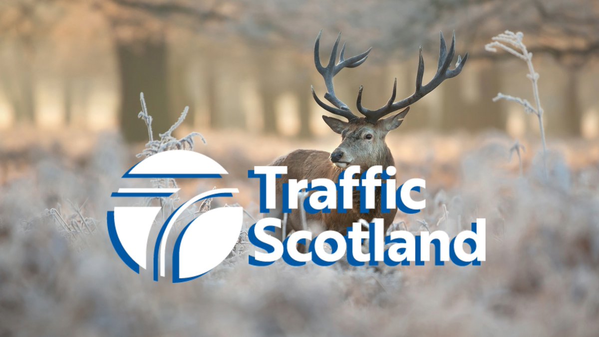 trafficscotland's tweet photo. There's a greater risk of deer on the road around sunrise and sunset 🦌
#BePrepared to slow down on country roads.
#DriveSafe #DeerAware @nature_scot @transcotland @PSOSRoads https://t.co/kH1edzF2f7