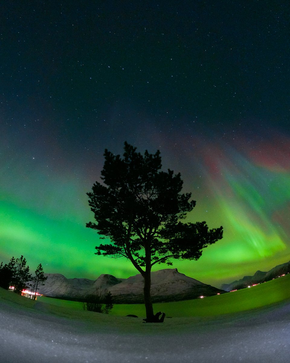 GoPro's tweet image. Photo of the Day: Nordic nights 😍

📷 Victor Ganin + Night Photo Mode
🏆 $100 GoPro Award 👉 GoPro.com/Awards

#GoPro #Astrophotography #NorthernLights #LongExposure