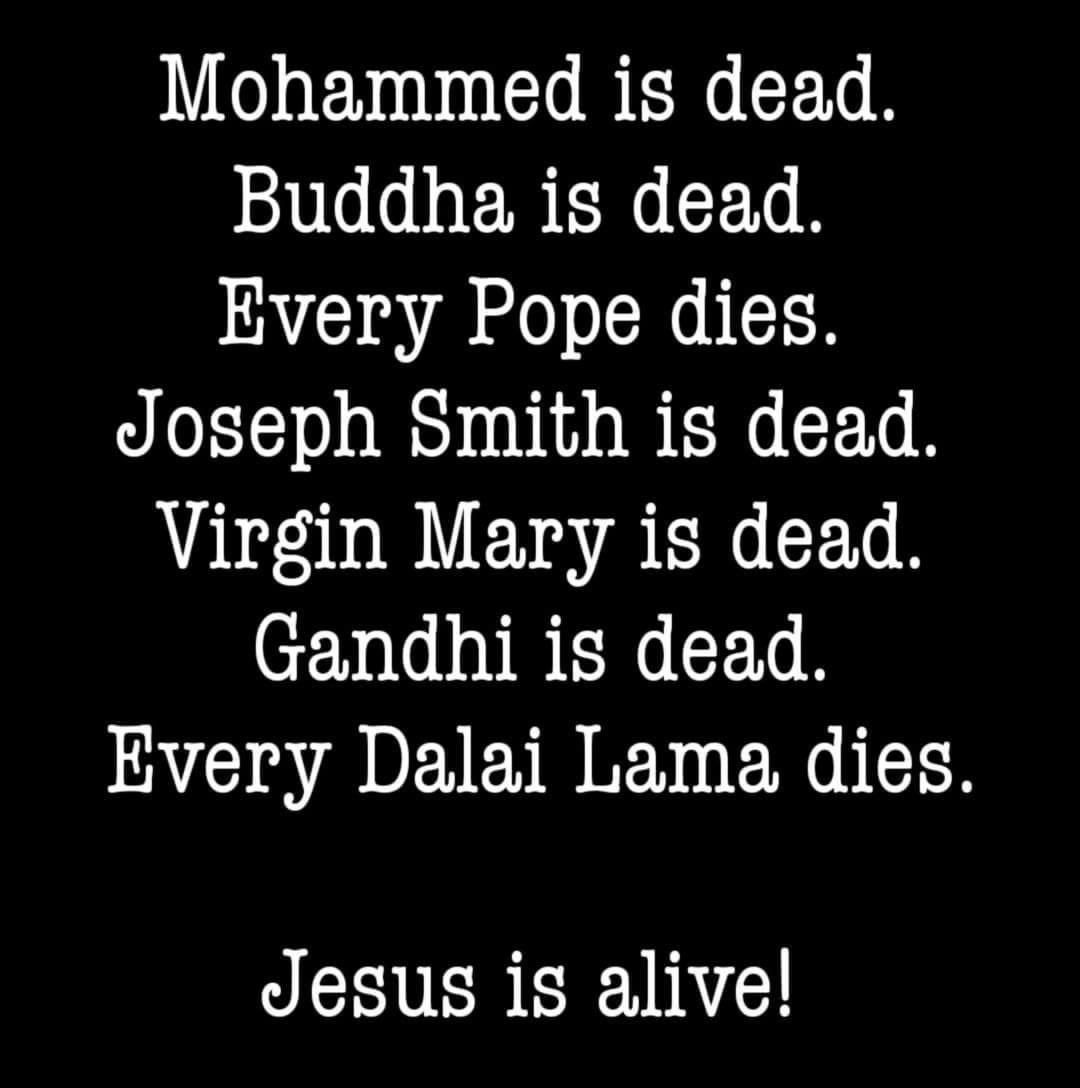 MalcangiSarah's tweet image. 