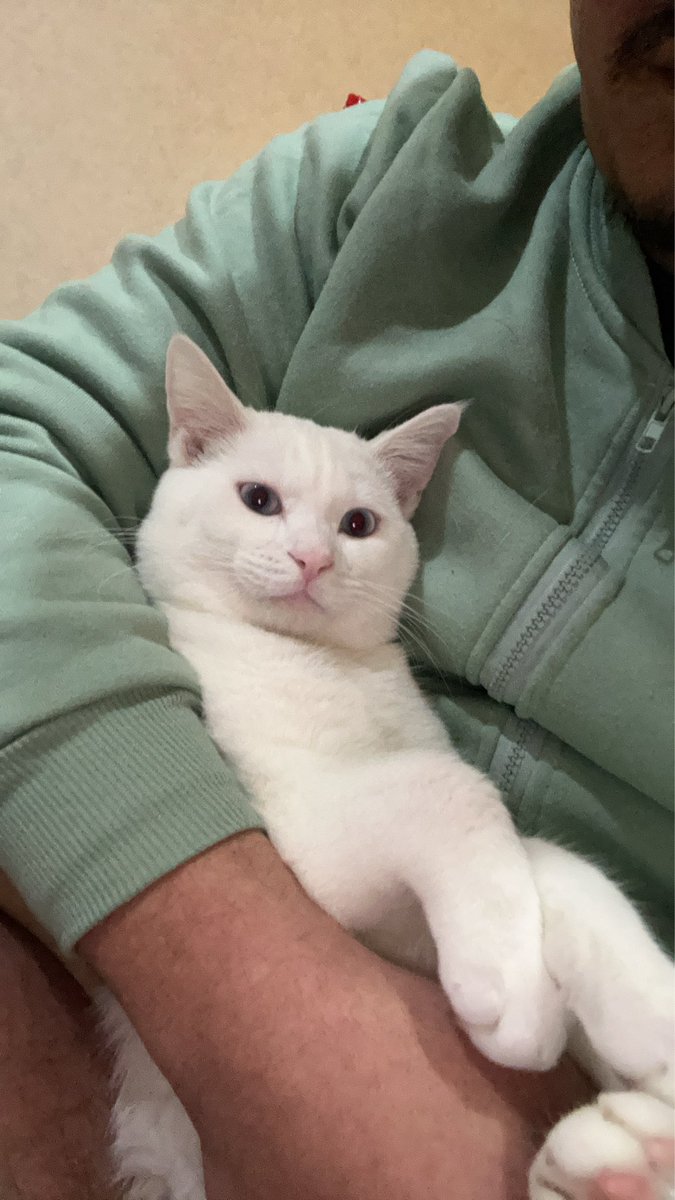 たかすぃ。 (@takatakashi0529) / Posts / X