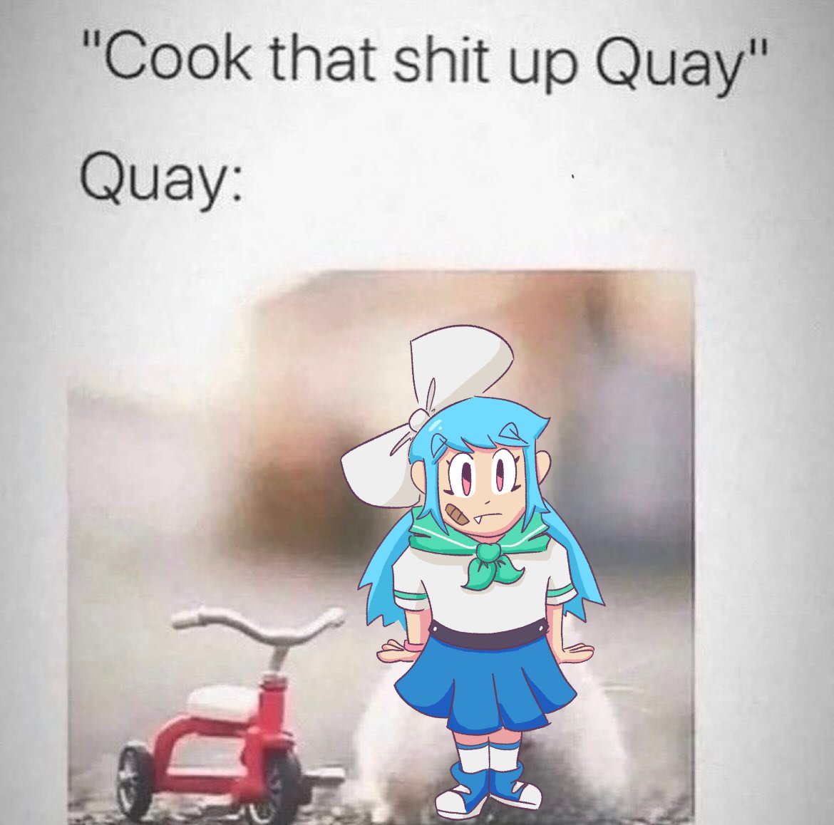 AnOnlineCat's tweet image. 