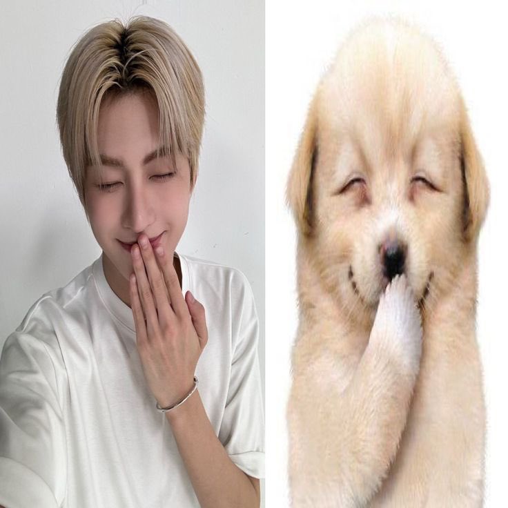 studywithwonwoo's tweet image. #studytwt  • #studytwtbr 
#kpoptwt  • #booktwt 

 ‌ 🐞 dias | 08 | 3º ano EM
corvinal INFP, não binario (ele/ela), humanas
 🧃objetivo - cs (UFMG)
 🍒 ENEM e estudos para o EM
 ☘️ kpop (svt, txt, tws, cortis, bnd, &amp;amp;team, p1h) livros 🏳️‍🌈 &amp;amp; outros, filmes, etc