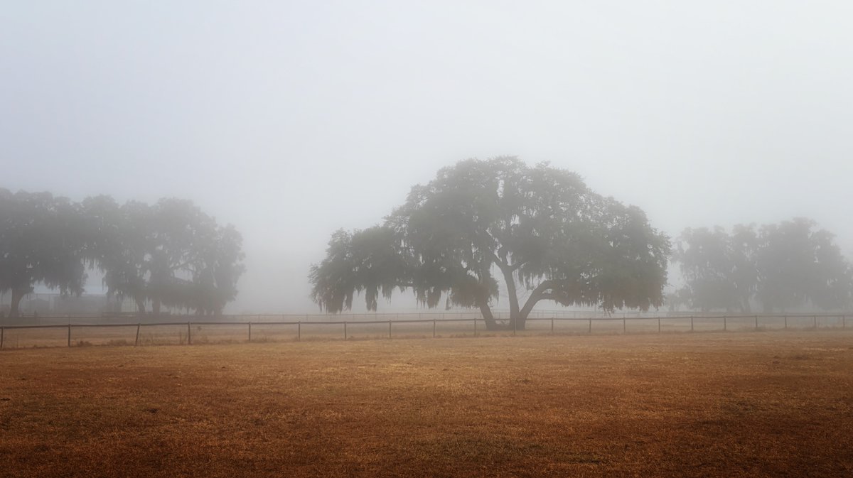 Brianna Bond tweet media