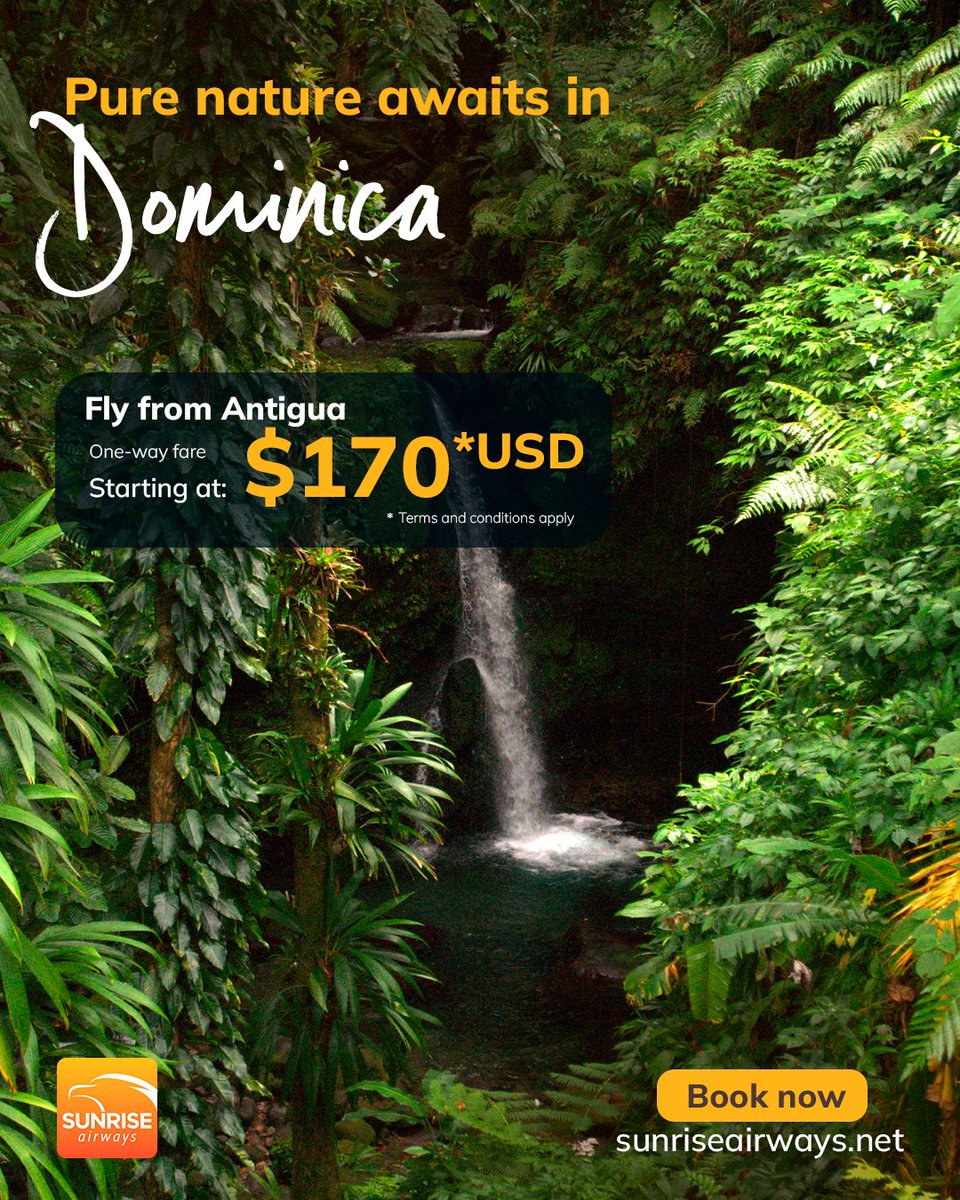 Where nature takes the lead. 🌿✈️
Explore Dominica, the Nature Island of the Caribbean, with fares starting from 170 USD One-way..

Your next escape is closer than you think.
Book now at sunriseairways.net

#OneCaribbean #WeFlyToConnectPeople #Dominica #SunriseDestinations