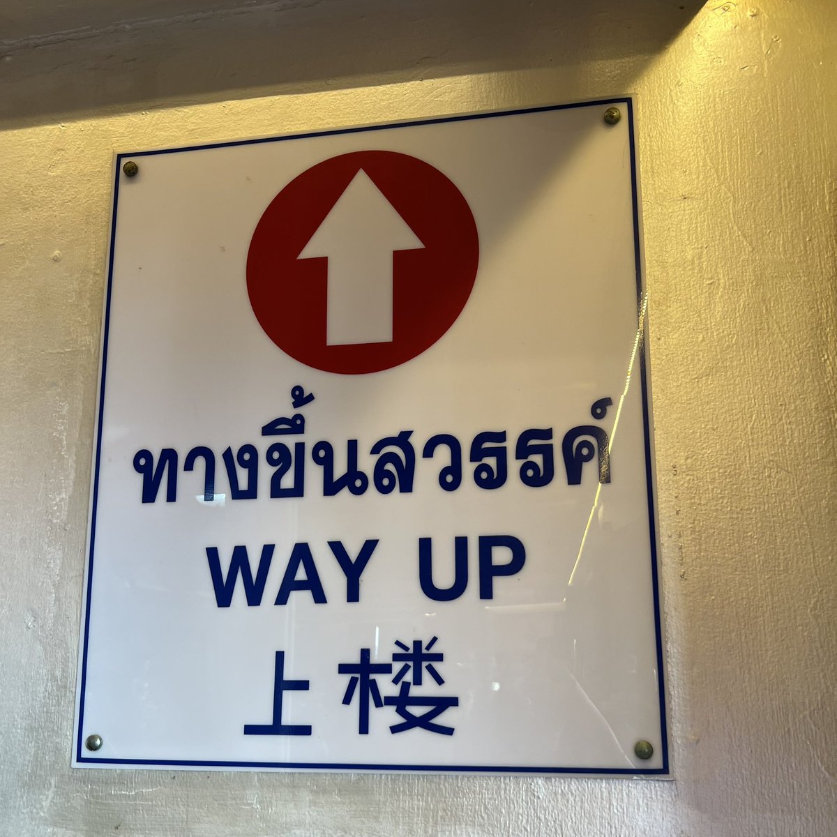 แก๊งนางฟ้า comeback สู่สวรรค์ค่า🧚🏻‍♀️👼🏻🪽

 #GreatInn #เกรทอิน