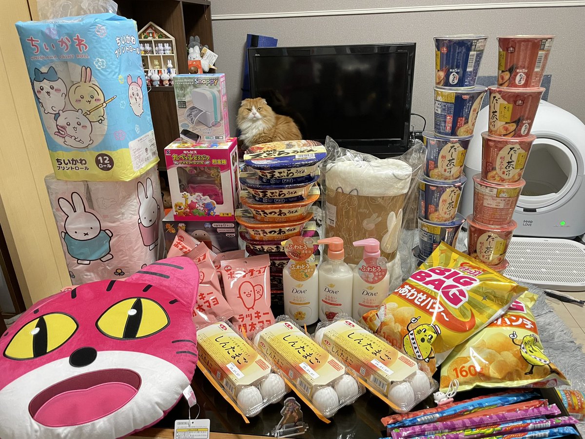 明けましておめでとう🌅
寝正月してゲームセンター巡りして
充実したお正月だった！
100円で卵3パックも取れちゃったもんだから
毎日タマパですわ