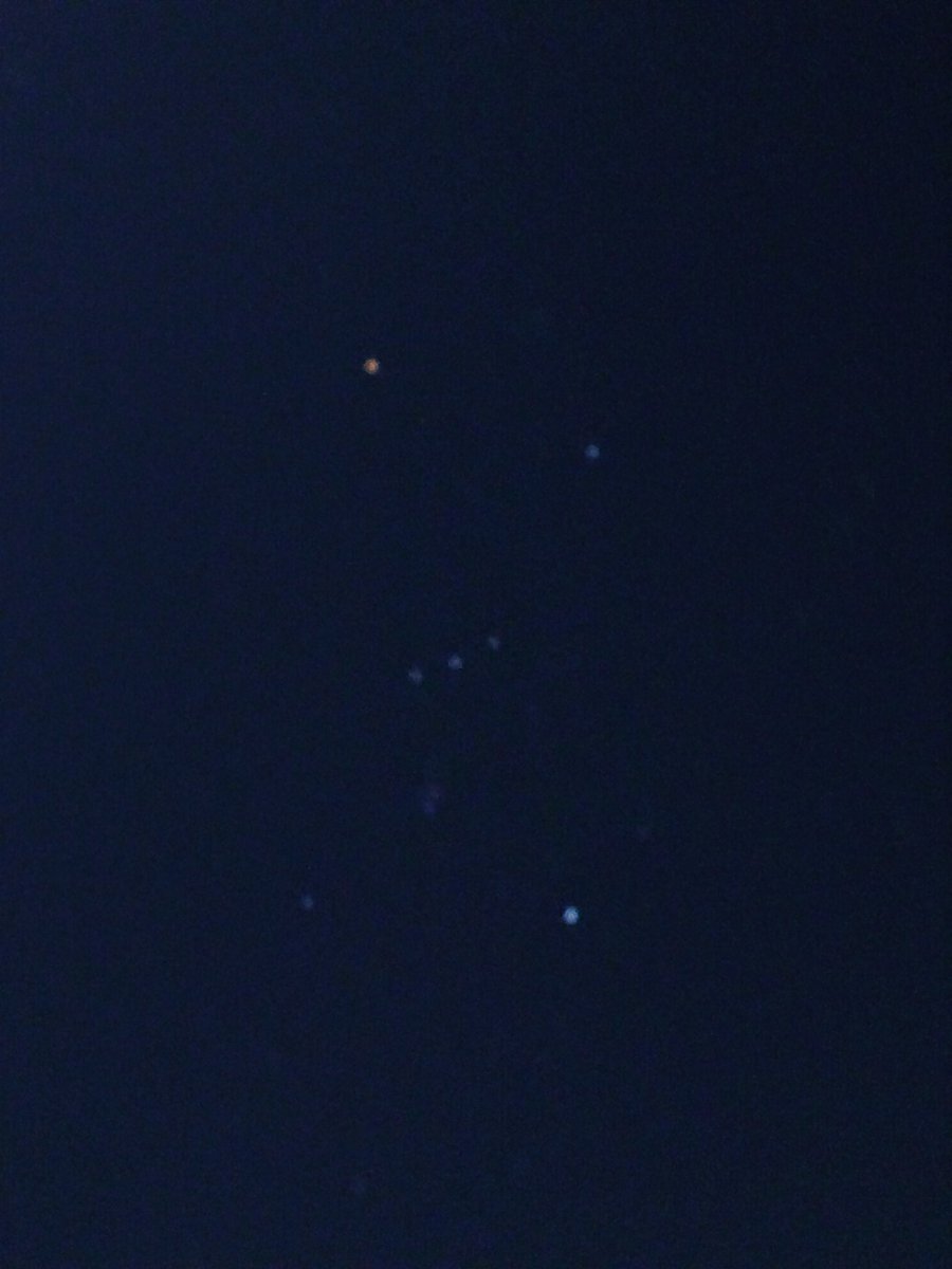 オリオン座とれましたよ！！