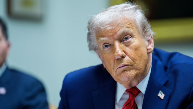 Petra van Dam tweet media