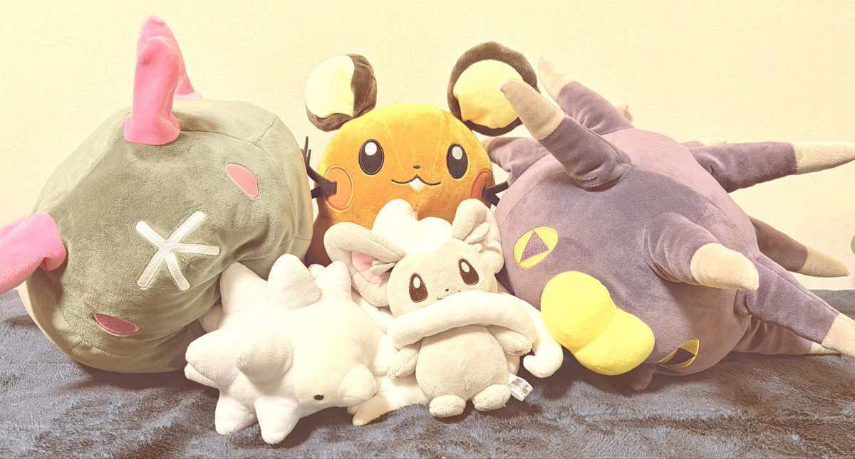 moll🐁🎀 tweet media