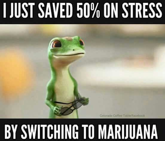 OneLoveDelivery's tweet photo. #onelovedelivery #420 https://t.co/13HGcPndff