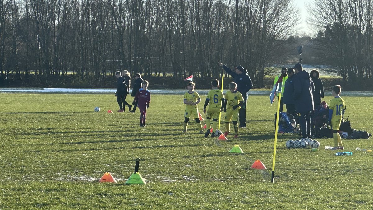 The Pavilion tweet media